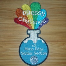 UK Girlguiding Messy Challenge 1st Moss Edge Senior Section 