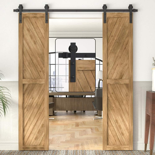 Double sliding barn door kit - door,