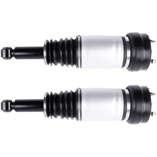 Rear air suspension struts - suspension,