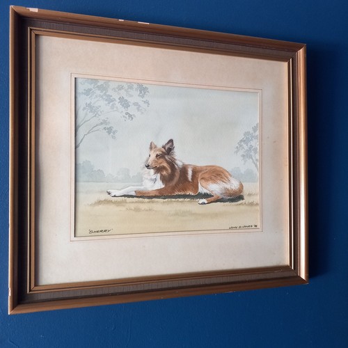 John jones watercolour - jones, :