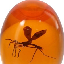 Jurassic Park Style Mosquito In Amber Epoxy Resin Paperweight Desk Accessories