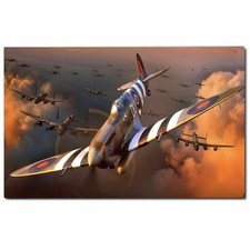 Spitfire Aircraft Protecting