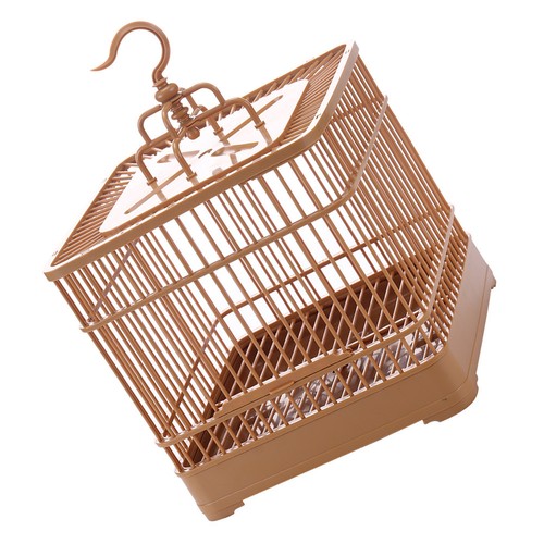 Set bird display - 1,