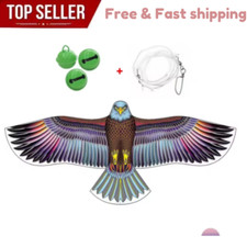 Anti bird flying - flying, hawk