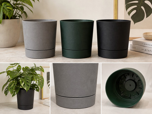 Plant pot with matching twist - plant,