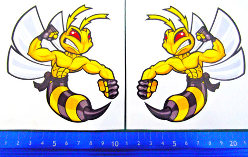 Angry hornet wasp - 2,