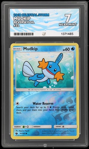 Mudkip 168 sm celestial - 32/,