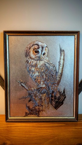 Tawny owl picture - owl, metallic
