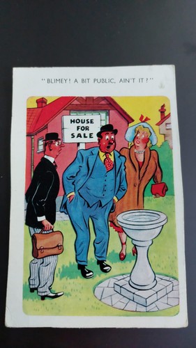 Vintage saucy postcard comic - saucy,