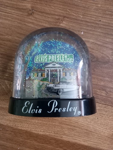 Elvis presley graceland - elvis,