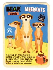 Yoyo Bear Cards - Animal