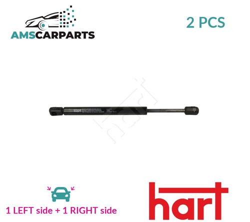 Tailgate boot struts set - boot, rear