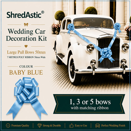 Shredastic wedding car - wedding,
