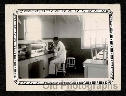 Military tech sailor lab - military,