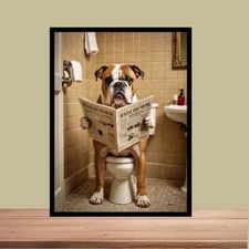 Funny old english bull Dog sat