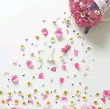 Trunki Boostapak Travel Backpack Booster Car Seat Pink - Booster Seat Travel