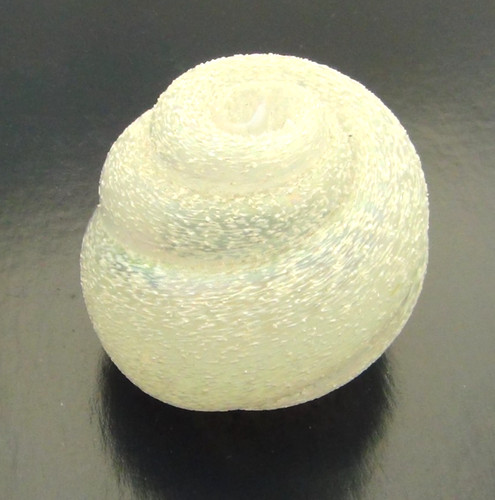 John ditchfield glasform - john,