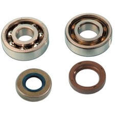 BEARING KIT MINARELLI AM6 D.17