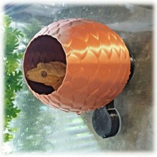 Crested Gecko Hut Hide Out Cave 'The Dragon Egg' Cocunut Reptile Lizard
