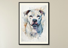 Staffordshire Bull Terrier, Water Colour themed Print. Ltd Edition. Dog, Dogs A2