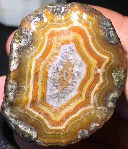 Rare natural warring - rare,