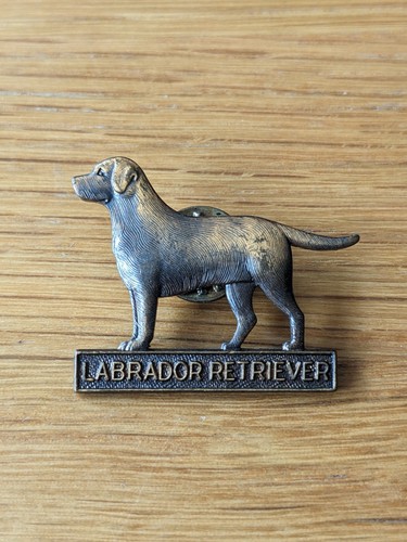 Vintage labrador retriever - vintage,