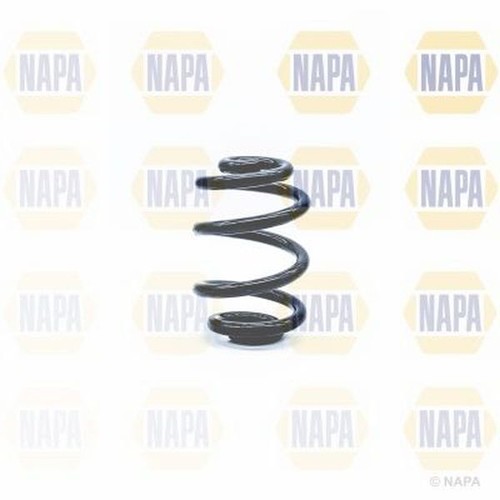 Coil spring rear for - rear,
