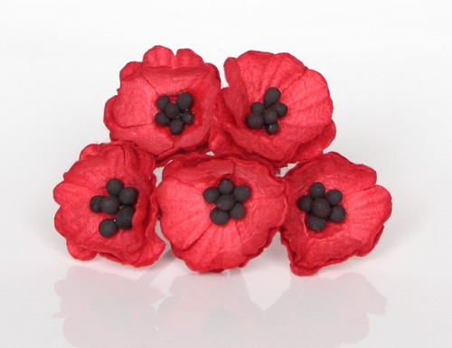 Pack beautiful red poppy - beautiful,