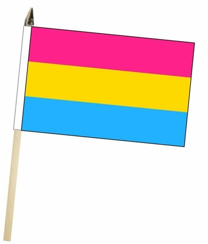Pansexual pride large - pansexual,