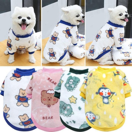 Cute pet dog - dog, clothes