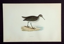 SANDPIPER, original antique