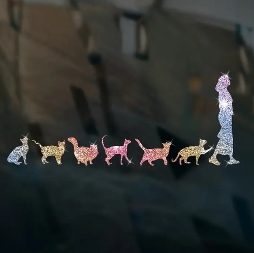 7pc cat lady - lady, glittery