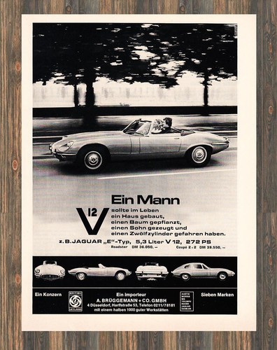 Jaguar type v12 - jaguar,
