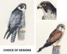 PEREGRINE FALCON, KESTREL Full counted cross stitch kits, Bird of Prey ORIGINALS