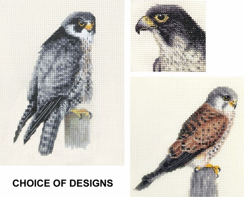 Peregrine falcon kestrel full - falcon,,