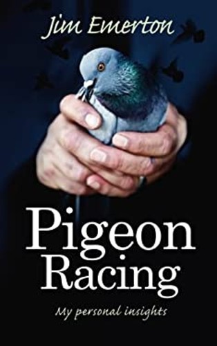 Pigeon racing my personal - pigeon, :