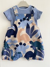 Baby Boys NEXT 0-3 Months