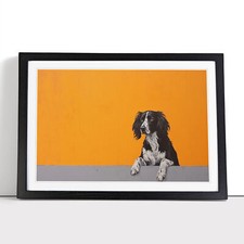 English Springer Spaniel