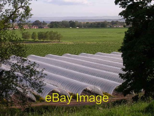 Photo 6x4 polytunnels - 6x4, on