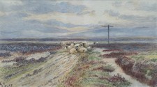 JOHN SYER Goathland Moor North