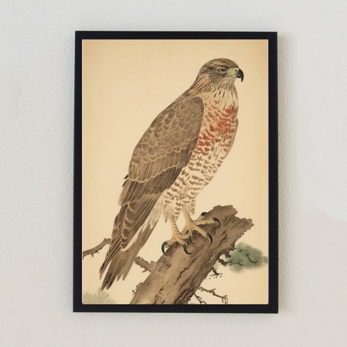 Vintage bird illustration - vintage,