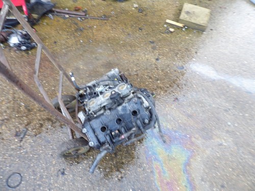 Triumph daytona 955i engine - 955i,
