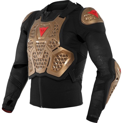 Dainese motorcycle - 2,