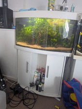 Juwel Vision 180 Fish Tank
