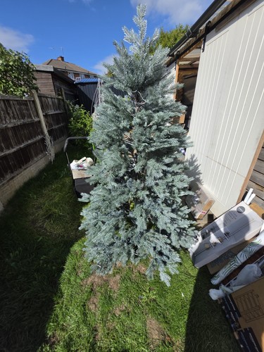 George home 6ft - nordic, fir