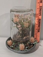 Chicken Waterer~Mason Glass