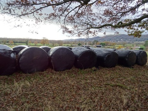 Photo 6x4 silage bales great - bales,