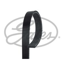 5 Rib Multi V Drive Belt