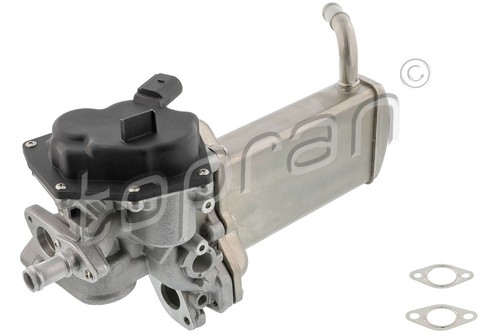 Exhaust gas recirculation - gas,