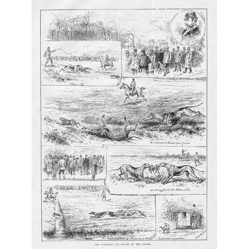 The waterloo cup - the, scenes